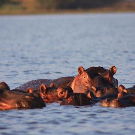 Lake Naivasha Simba Lodge ナイロビ エクステリア 写真