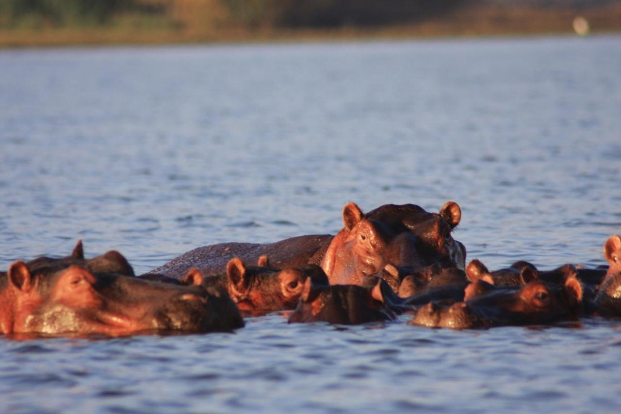 Lake Naivasha Simba Lodge ナイロビ エクステリア 写真