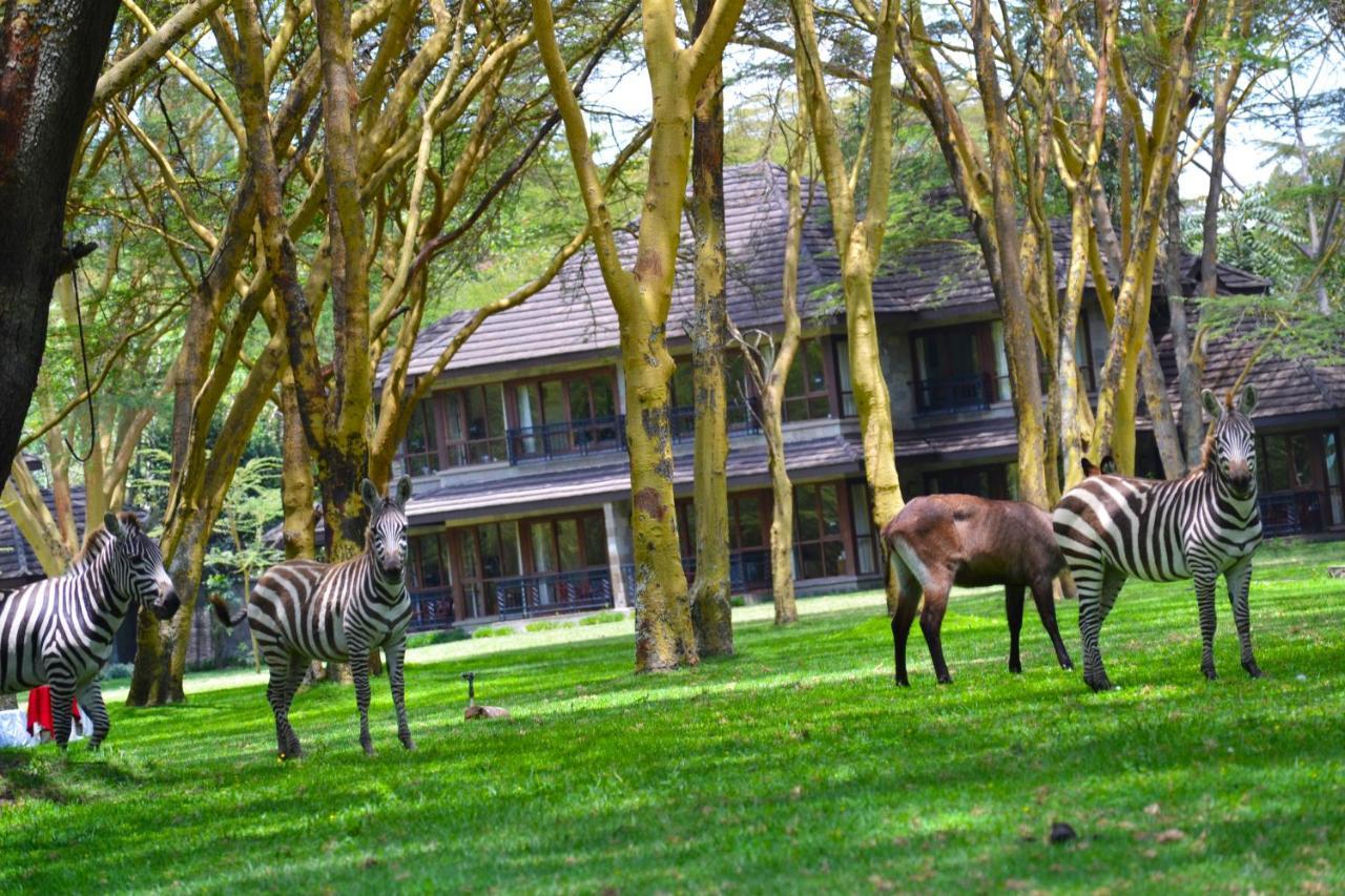 Lake Naivasha Simba Lodge ナイロビ エクステリア 写真